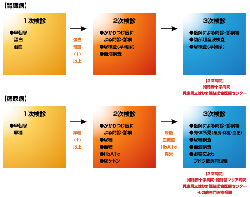 学校検尿について 学校検診 姫路市医師会ホームページ